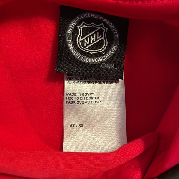 Official licensed NHL 4T Pullover Hooded Sweatshirt - Picture 2 of 3